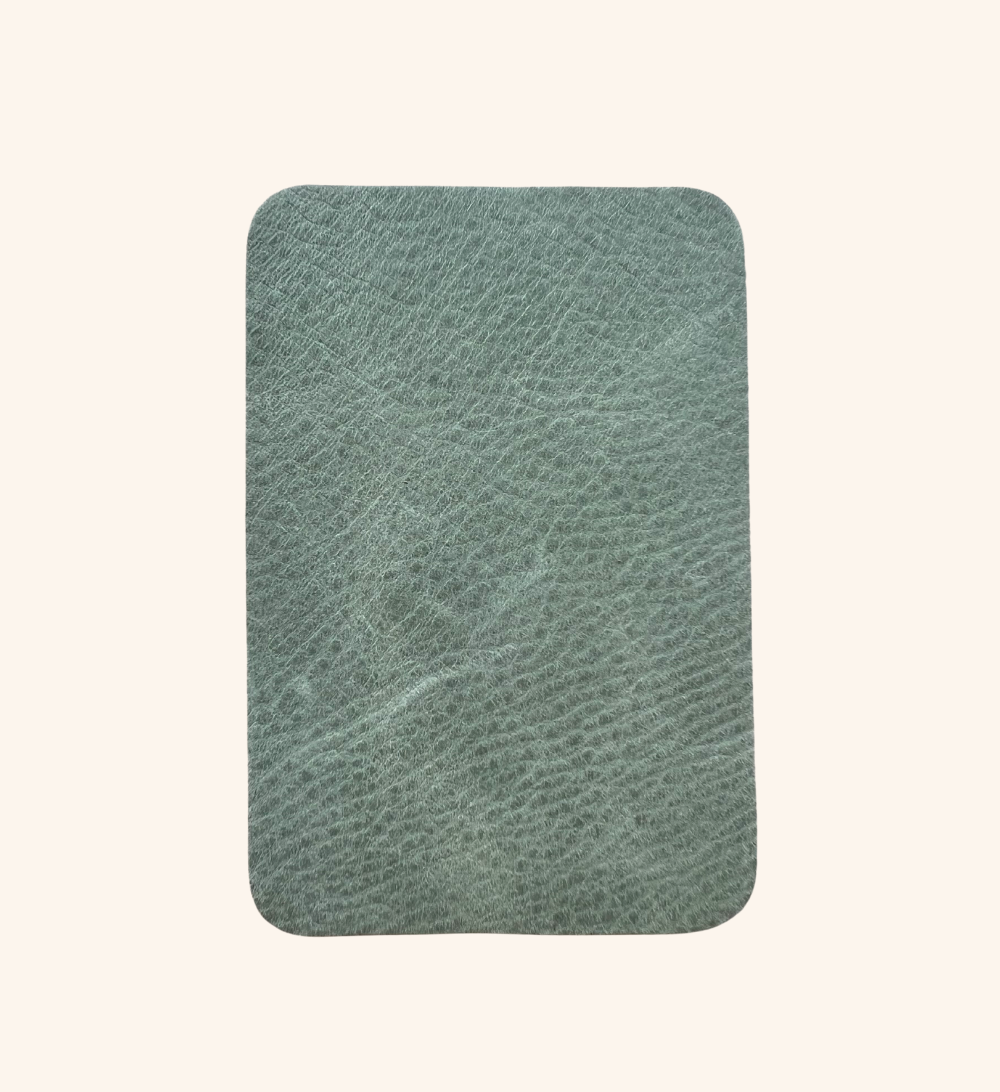 Ampoule Case